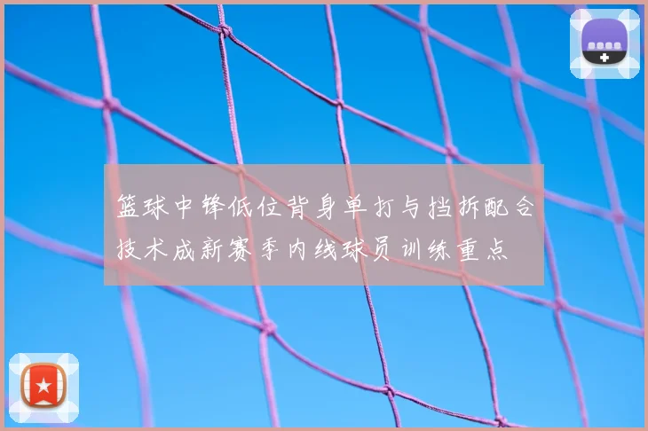 篮球中锋低位背身单打与挡拆配合技术成新赛季内线球员训练重点