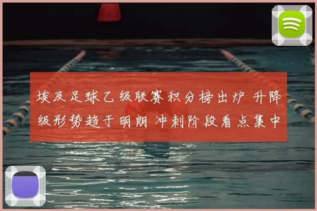 埃及足球乙级联赛积分榜出炉 升降级形势趋于明朗 冲刺阶段看点集中