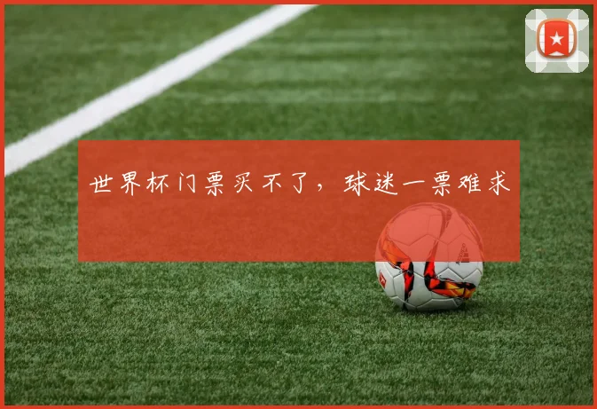 世界杯门票买不了,球迷一票难求