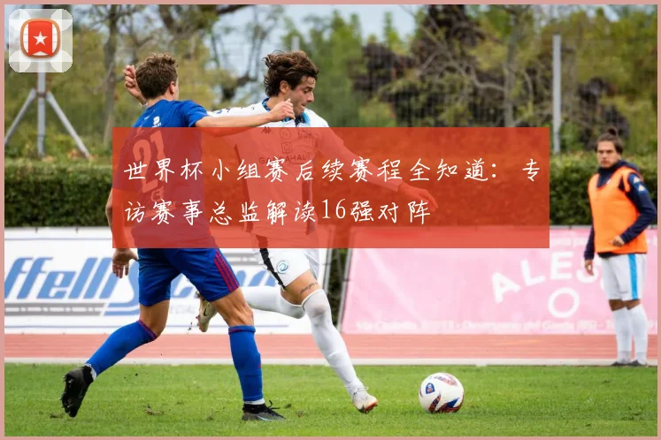 世界杯小组赛后续赛程全知道：专访赛事总监解读16强对阵