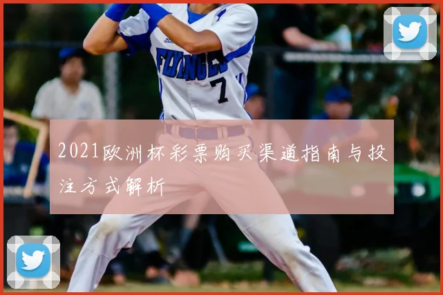 2021欧洲杯彩票购买渠道指南与投注方式解析